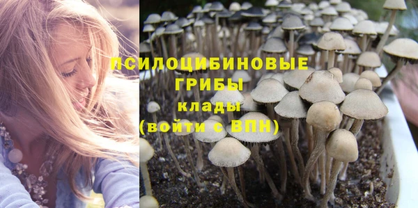 PSILOCYBIN Нестеровская