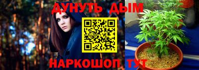сатива Кумертау