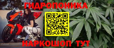 винт Кулебаки