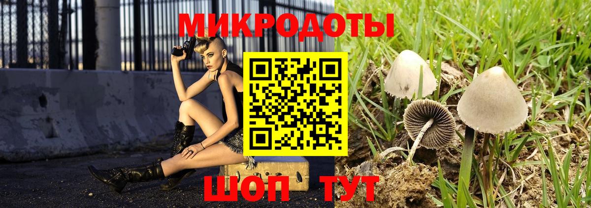 Псилоцибиновые грибы Psilocybe Ишимбай