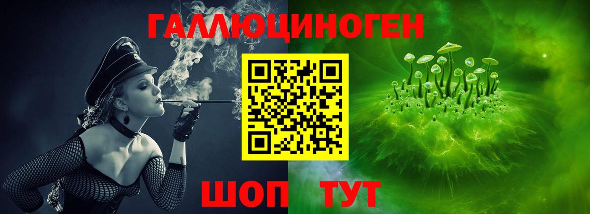 Ишимбай  Псилоцибиновые грибы Psilocybine cubensis  Вход с VPN  цена наркотик  Псилоцибиновые грибы Psilocybine cubensis 